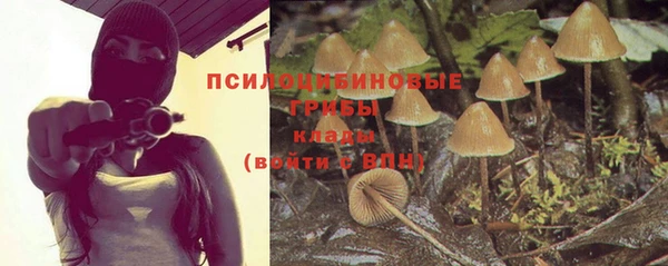 дживик Алексеевка